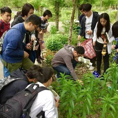 难忘五月本草之旅―14级药学益大本草园《药用植物学》见习课程