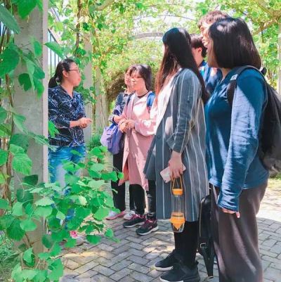 难忘五月本草之旅―14级药学益大本草园《药用植物学》见习课程