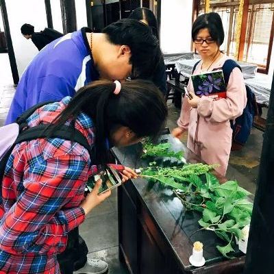 难忘五月本草之旅―14级药学益大本草园《药用植物学》见习课程