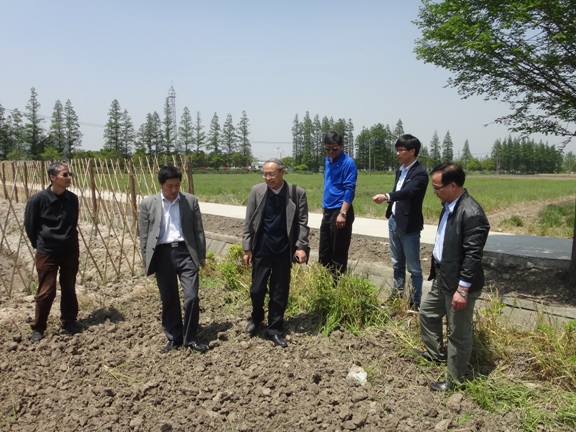 校村合作建基地 服务群众促发展――记伟德国际官方入口党总支赴松江区泖港镇腰泾村实地考察